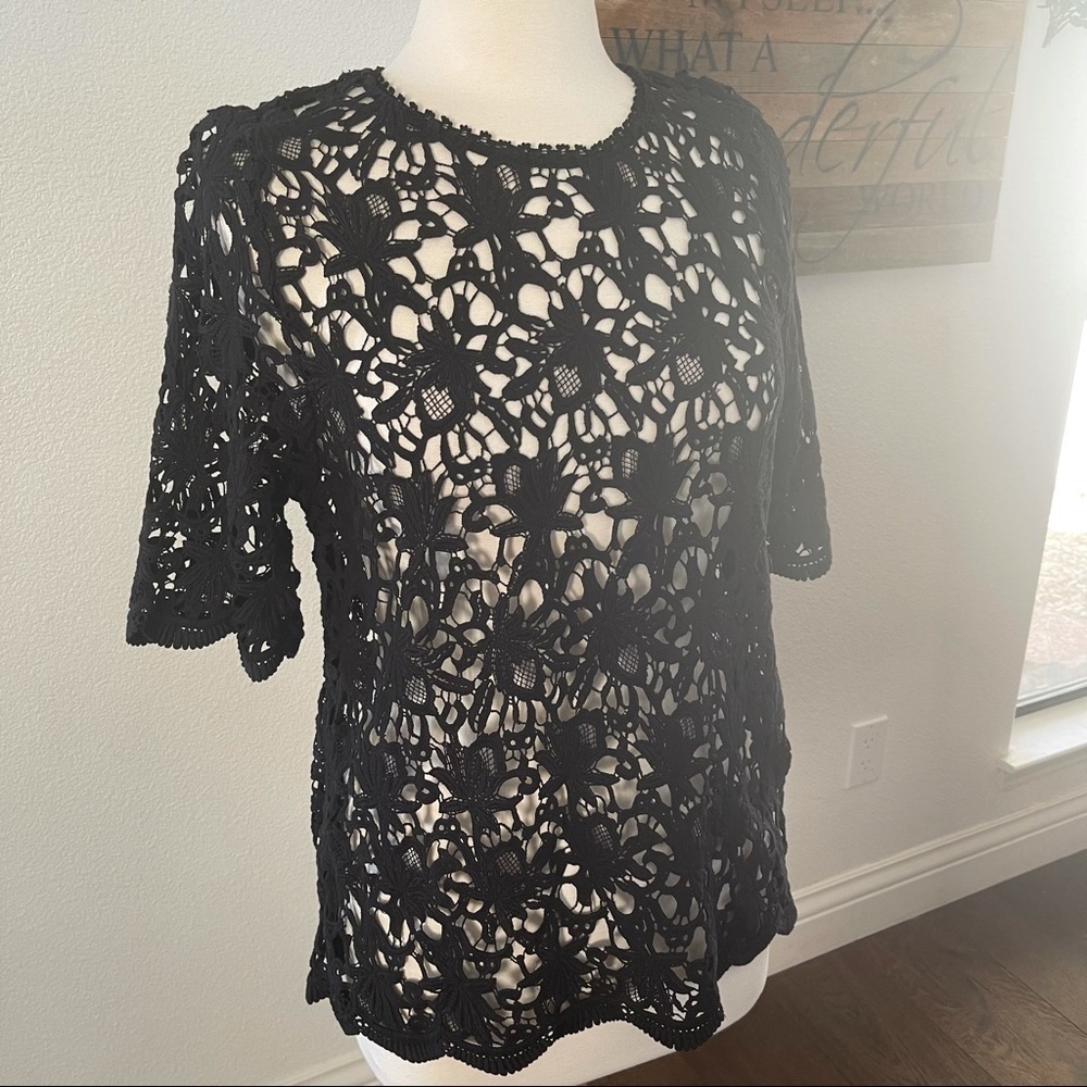 Velvet by Graham & Spencer lace blouse